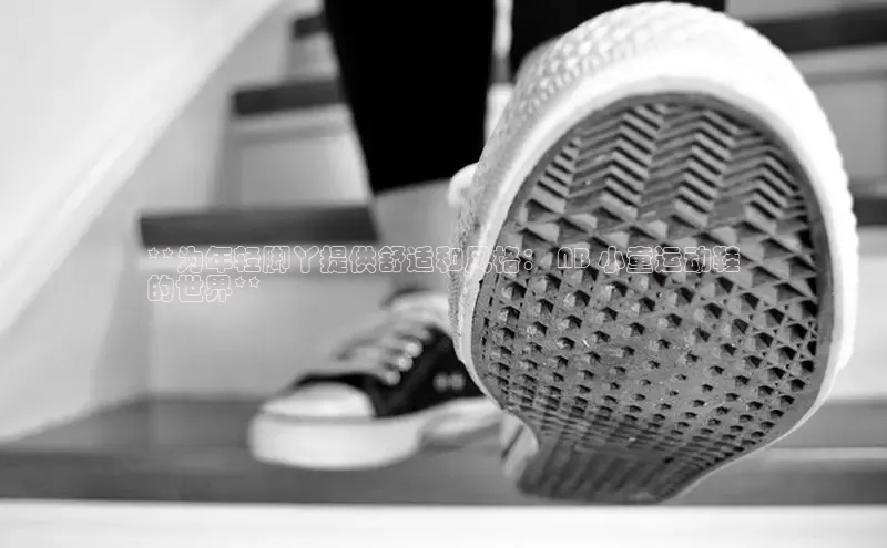 Bsports网页版登录入口百度智能门户**为年轻脚丫提供舒适和风格： NB 小童运动鞋
的世界**