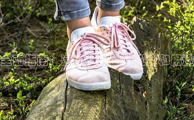 B体育官方入口APP挪威主权基金全面指南：运动鞋前四的优势和用途