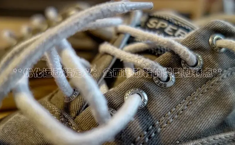 Bsports网页版登录入口百度智能门户**优化运动鞋定义：全面运动鞋的类型和特点**