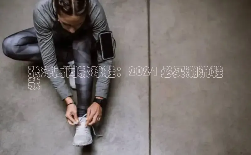 Bsports官网赛富乐斯