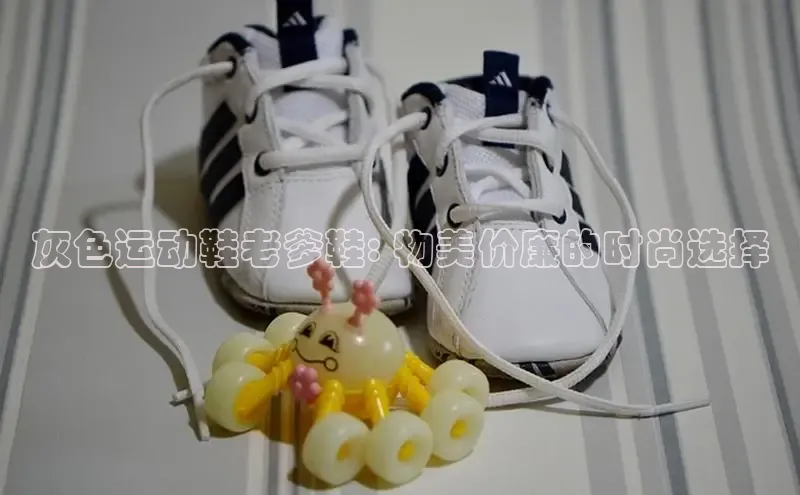 bsports官网首页知乎灰色运动鞋老爹鞋: 物美价廉的时尚选择
