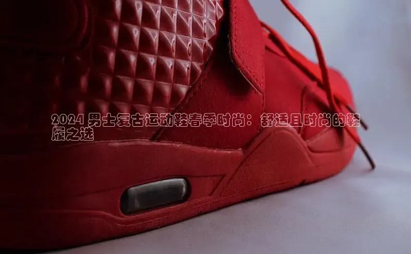 bsports必一体育网页版登录ARGA公司2024 男士复古运动鞋春季时尚：舒适且时尚的鞋
履之选