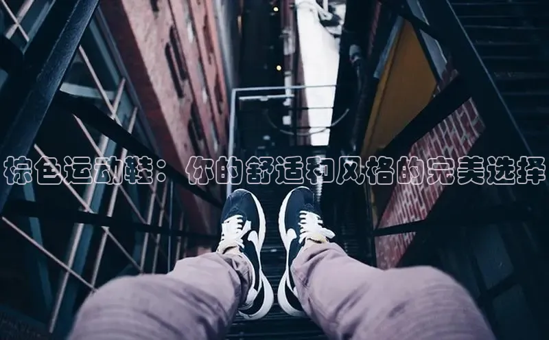 b体育下载入口app极氪智能科技棕色运动鞋：你的舒适和风格的完美选择