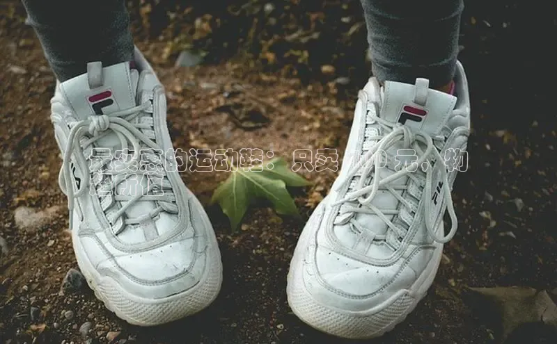 B体育官方入口APP挪威主权基金最实惠的运动鞋：只卖 400 元，物
超所值