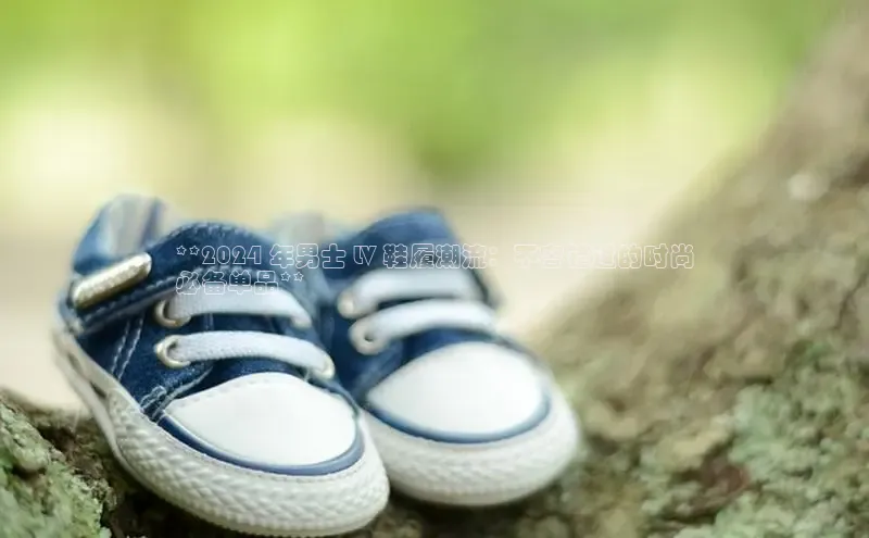 b体育登录入口app下载安装免费58同城**2024 年男士 LV 鞋履潮流：不容错过的时尚
必备单品**