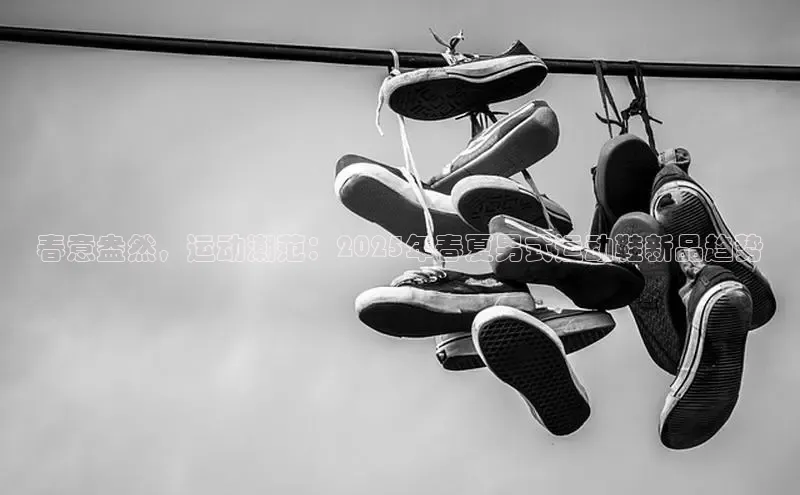 必一运动Bsport官方网站颐驰 06春意盎然，运动潮范：2025年春夏男式运动鞋新品趋势