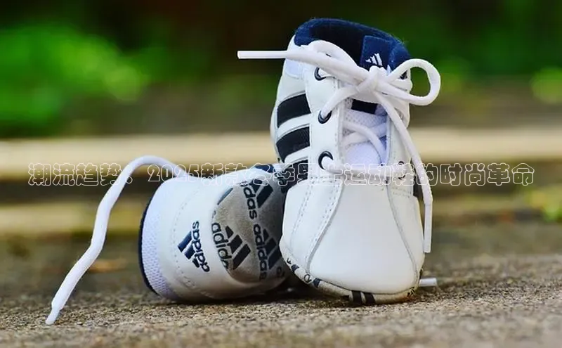 B体育官方网站入口官网百度智能云潮流趋势：2025新款冬季男士运动鞋的时尚革命